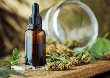 CBD Produkte als Wirtschaftsfaktor – wirtschaftliche Bedeutung von CBD