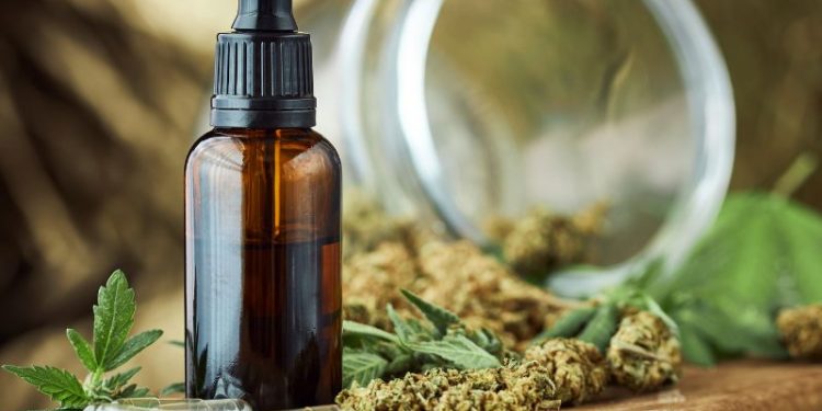 CBD Produkte als Wirtschaftsfaktor – wirtschaftliche Bedeutung von CBD