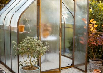 Selbstversorgung als Trend - Warum Gewächshäuser so beliebt sind