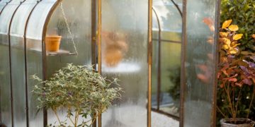 Selbstversorgung als Trend - Warum Gewächshäuser so beliebt sind