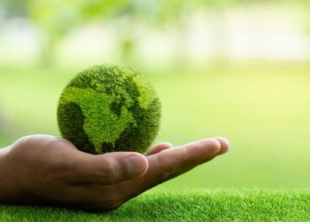 Umweltbewusste Business-Gestaltung: So sparen Unternehmen in der Praxis