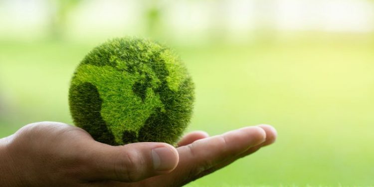 Umweltbewusste Business-Gestaltung: So sparen Unternehmen in der Praxis