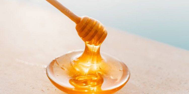 Honigerzeugung in Österreich