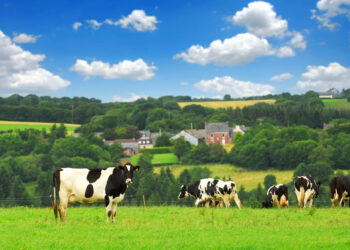 Investitionen in Lagerkapazitäten: So sichern flexible Strukturen die Wettbewerbsfähigkeit