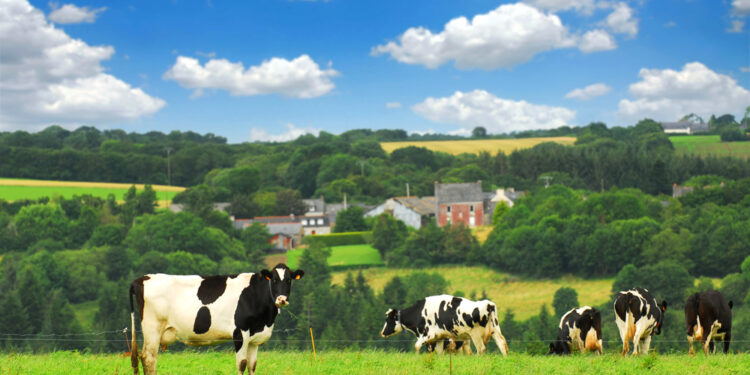 Investitionen in Lagerkapazitäten: So sichern flexible Strukturen die Wettbewerbsfähigkeit