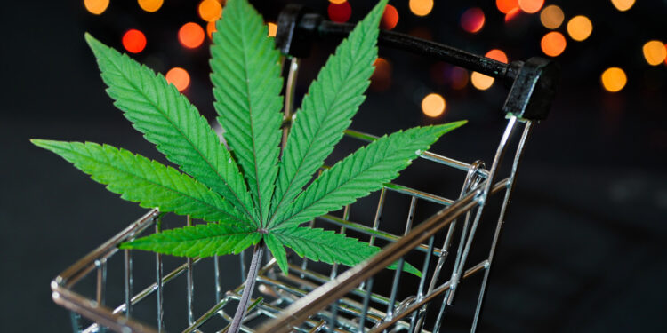 E-Commerce im CBD-Sektor: Welche Faktoren über den Geschäftserfolg entscheiden